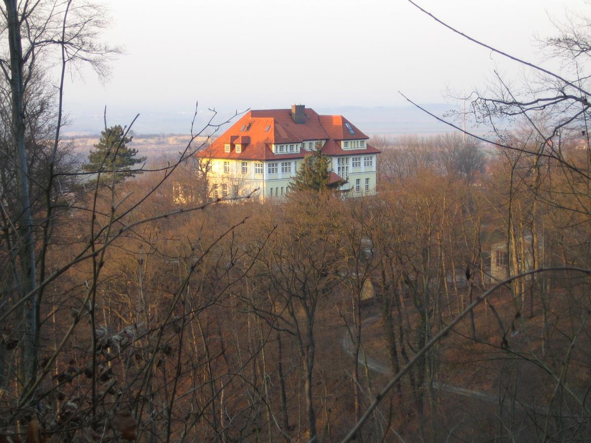 Hotel Stubenberg Gernrode  Esterno foto