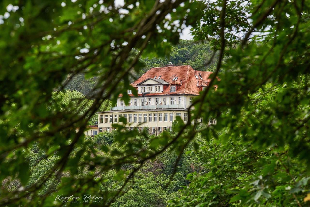 Hotel Stubenberg Gernrode  Esterno foto
